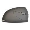 Waateck NM4803DW - Ratón vertical - ergonómico - diestro - óptico - 3 botones - inalámbrico - receptor inalámbrico USB