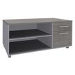 Burocean Exprim Manager - Unidad de almacenamiento - móvil - 2 cajones - aluminio, roble gris