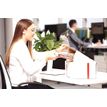 0400794357227-Bankers Box Christmas - 20 Boîtes d'expédition motif nœuds rouges - 35 cm x 24 cm x 16 c-P_79435722_4-3