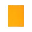 Exacompta - Libro de pantalla - 10 compartimentos - 20 vistas - para A4 - amarillo