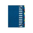 Exacompta Nature Future Harmonika - Carpeta clasificadora - ampliable - 12 compartimentos - azul