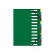 Exacompta Nature Future Harmonika - Carpeta clasificadora - ampliable - 12 compartimentos - 12 piezas - con pestañas - verde moteado