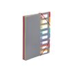 Viquel Rainbow Touch - Archivo de expansión - 8 compartimentos - 8 piezas - preimpreso: 1-8 - para A4 - con pestañas - gray with multicolor interior