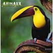 CBG Animaux sauvages - Calendario ilustrado - montaje en pared - 2020 - un mes vista - 300 x 600 mm - fecha