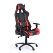 3760185028813-Fauteuil gamer SPORTING - accoudoirs réglables - noir et rouge--1