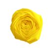Clairefontaine Premium - Papel - Rollo (50 cm x 2,5 m) - amarillo limón - 40 g/m² - papel crepé