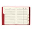 3371010110087-Quo Vadis Impala - Répertoire Carnet d'adresses 7,5 x 14 cm - disponible dans différentes c-P_970006_1-0