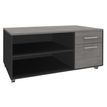Burocean Steely Manager - Unidad de almacenamiento - 2 cajones - carbón, roble gris