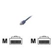 MCL Samar - Cable de red - RJ-45 (M) a RJ-45 (M) - 5 m - blindado - CAT 5e - azul