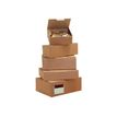 Carton Plus - Caja de envío - tamaño A5+ - 25 cm x 15 cm x 10 cm - paquete de 50 x 50