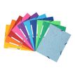 Exacompta Nature Future - Carpeta de 3 solapas - para A4 - capacidad: 250 hojas - surtido moteado (paquete de 10)