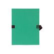 Exacompta - Carpata archivadora - ampliable - ancho de la espina: 120 mm - para A4 - capacidad: 1000 hojas - verde claro teñido