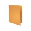 Exacompta Nature Future Bahia 220 - Carpeta con corte cuadrado - para A4 - capacidad: 200 hojas - naranja claro (paquete de 100)