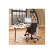 043859751471-Fellowes Hana - Support pour ordinateur portable - blanc-Angle gauche-9