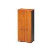 Armoire haute JAZZ+ - L80 x H183 x P48 - 2 portes - 4 étagères - Aulne