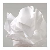 Canson rollo seda 0.5x5m 20gr. blanco