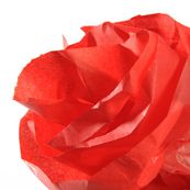 Canson rollo seda 0.5x5m 20gr. rojo