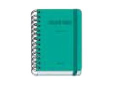 Dohe Colour Vibes - Agenda - 2025-2026 - página de día - encuadernado de alambre - A6 (120 x 170 mm) - 152 hojas - verde - cartón recubierto de papel laminado