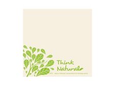 Fato Fiberpack - Servilleta - Tamaño 33 x 33 cm - desechable - natural (paquete de 50)