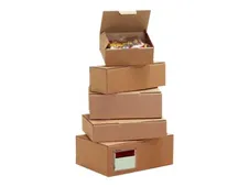 Carton Plus - Caja de envío - tamaño A5+ - 25 cm x 15 cm x 10 cm