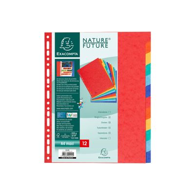 3130630024125-Exacompta Nature Future - Intercalaire 12 positions - A4 Maxi - carte lustrée colorée-P_24120_1-0