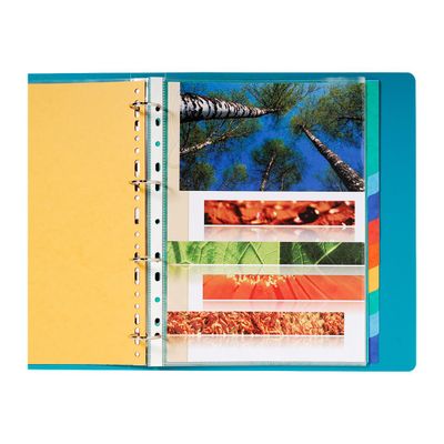 3130630024125-Exacompta Nature Future - Intercalaire 12 positions - A4 Maxi - carte lustrée colorée-P_24120_2-1