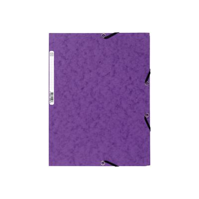 3130630555087-Exacompta Nature Future - Chemise à 3 rabats - A4 - pour 250 feuilles - violet-P_1855508_1-0