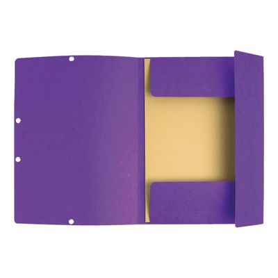 3130630555087-Exacompta Nature Future - Chemise à 3 rabats - A4 - pour 250 feuilles - violet-P_1855508_2-1