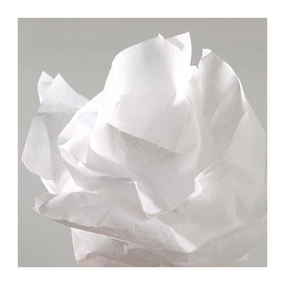 3148959926594-Canson Art & Crafts - Papier - Rouleau (50 cm x 5 m) - blanc - 20 g/m² - papier en soie (pack de 10)--0