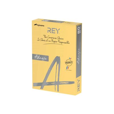 3368220102636-Rey Adagio - Papier couleur - A4 (210 x 297 mm) - 80 g/m² - Ramette de 500 feuilles - bouto-Angle droit-0