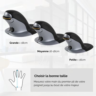 0043859735938-Fellowes - Souris sans fil verticale ambidextre - Medium-P_400002621_3-1