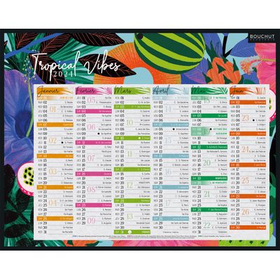 3592930026726-Bouchut Exotique - Calendrier bancaire 6 mois par face - 21 x 26,5 cm--0