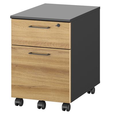 3483601225572-Caisson mobile JAZZ+ - Profondeur 60 cm - 2 tiroirs - chêne du bocage--0