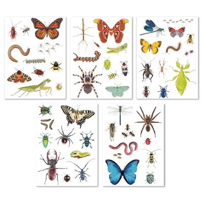 8410782194293-APLI kids - Adhésif décoratif - insectes - 5 feuilles - non permanent (pack de 50)-P_405184294_2-1