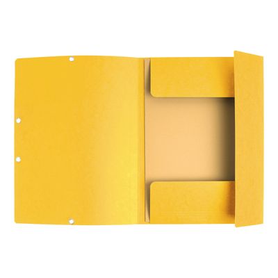 3130632553098-Exacompta Nature Future - 10 Chemises à 3 rabats - A4 - pour 250 feuilles - jaune-Avant-1