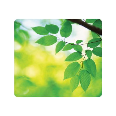 043859542819-Fellowes - Tapis de souris Earth Series  - Feuilles-P_79345596_1-0
