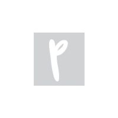 8711234004055-Pickup Déco Zoé - Étiquette autocollante 110 mm - Lettre P - blanc-P_79413422_1-0