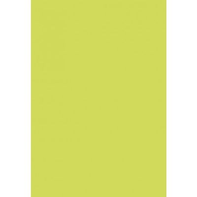 0400791467523-Pollen - 50 Feuilles papier couleur - A4 (21 x 29,7 cm) - 120 g/m² - vert bourgeon--0