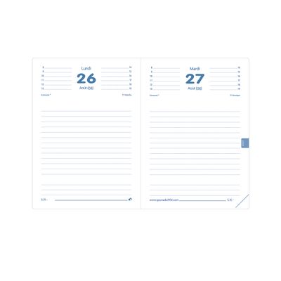 3371010423828-Agenda Fidji Gris 1 Jour par page 12X17cm Quo Vadis --1