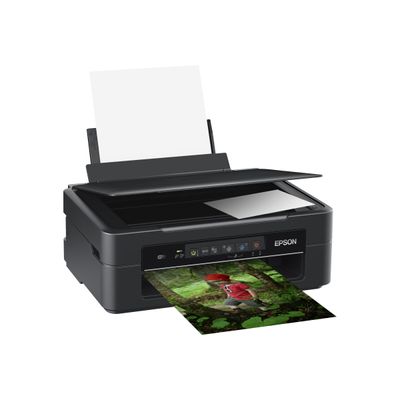8715946652559-Epson Expression Home XP-255 - imprimante multifonction (couleur)-Angle gauche-2