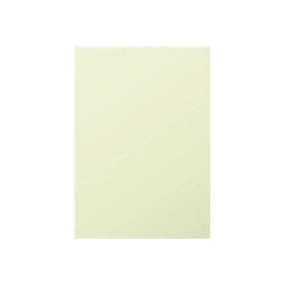 0400002242055-Pollen - 25 Feuilles papier couleur - A4 (210 x 297 mm) - 210 g/m² - vert bourgeon-Avant-0