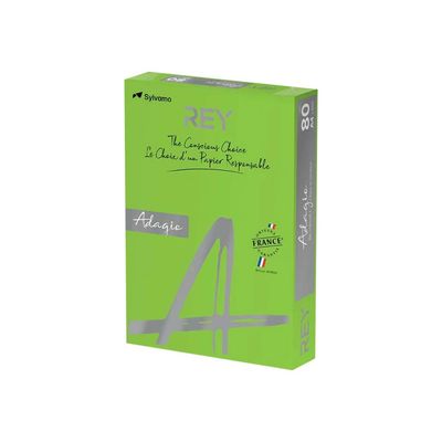 3368220102995-Rey Adagio - Papier couleur - A4 (210 x 297 mm) - 80 g/m² - Ramette de 500 feuilles - vert -Angle droit-0