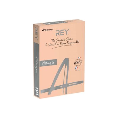 3368220134019-Rey Adagio - Papier couleur - A4 (210 x 297 mm) - 80 g/m² - Ramette de 500 feuilles - cham-Angle gauche-0