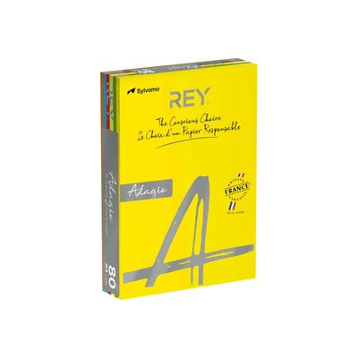 3141720148027-Rey Adagio - Papier couleur - A4 (210 x 297 mm) - 80 g/m² - Ramette de 500 feuilles - coul-Angle gauche-0