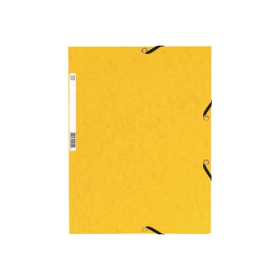 3130632553005-Exacompta Nature Future - 10 Chemises à 3 rabats - A4 - pour 250 feuilles - couleurs assorties-Avant-2