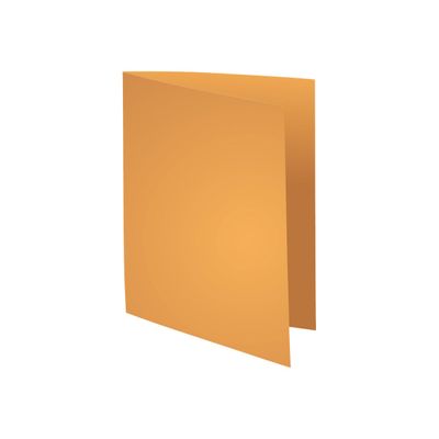 3288582100265-Exacompta Rock"s - 100 Chemises - 210 gr - pour 200 feuilles - orange clair-Angle droit-0