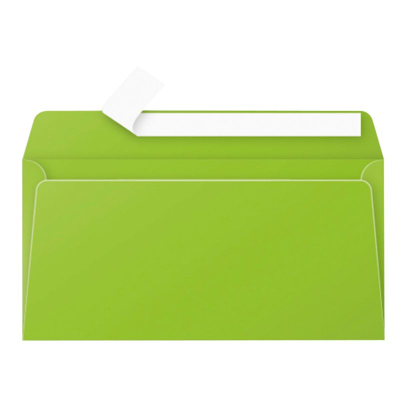 3329680554502-Pollen - 20 Enveloppes - 110 x 220 mm - 120 g/m² - menthe-P_5545_1-0