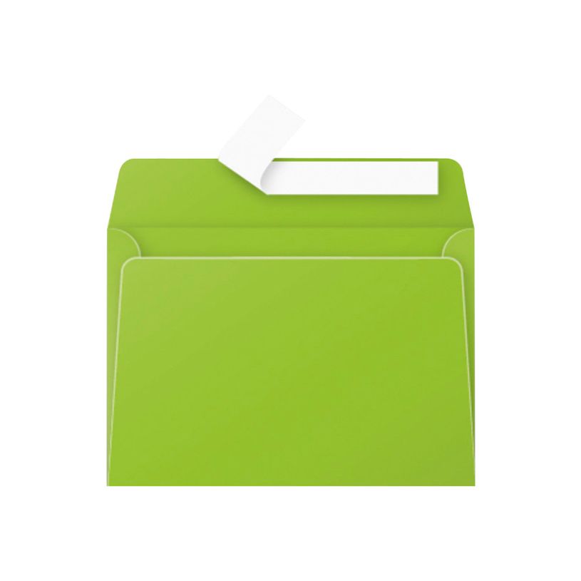 3329680554601-Pollen - 20 Enveloppes - 114 x 162 mm - 120 g/m² - menthe-P_5546_1-0