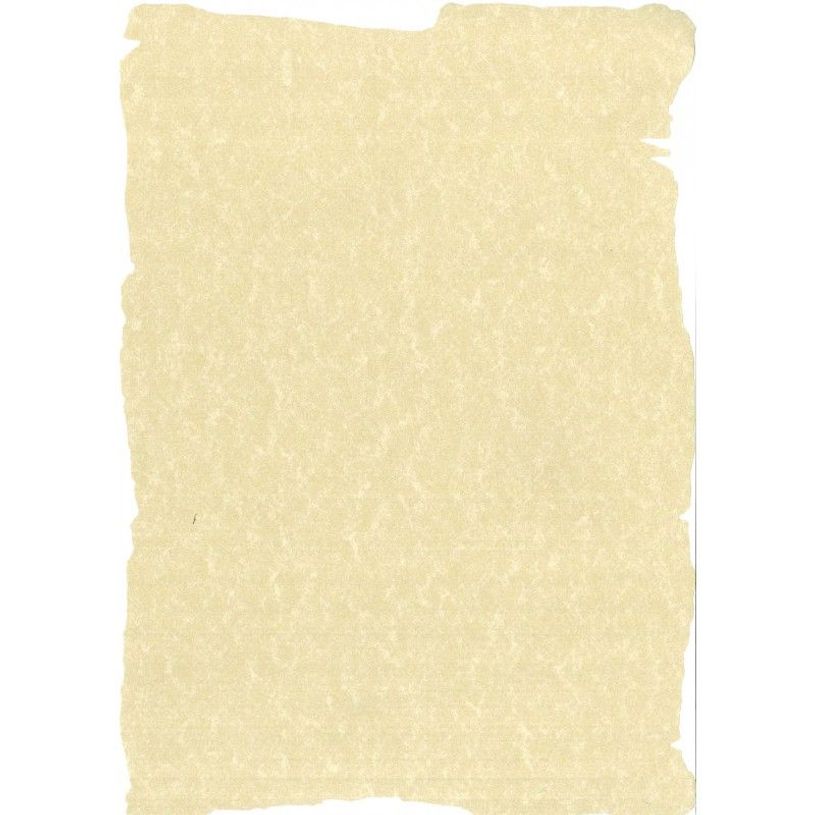 https://dxbyzx5id4chj.cloudfront.net/fit-in/815x815/filters:fill(fff)/pub/media/catalog/product/0/1/5/5/6/3/P_15563_1.jpg