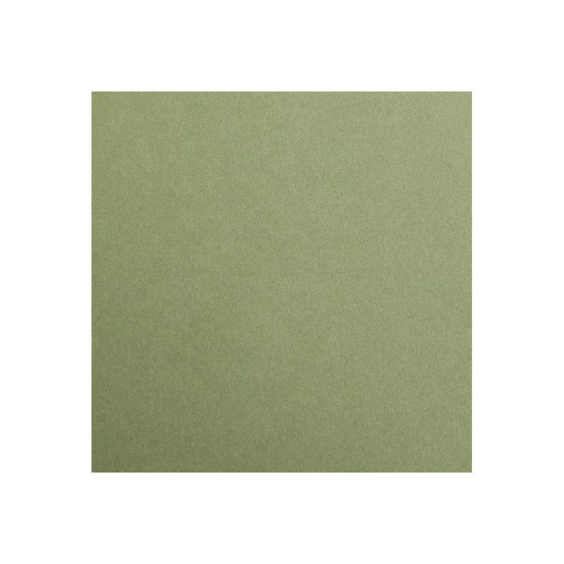 3329680973709-Clairefontaine Maya - Papier à dessin - A4 - 25 feuilles - 120 g/m² - kaki-P_97370_2-1